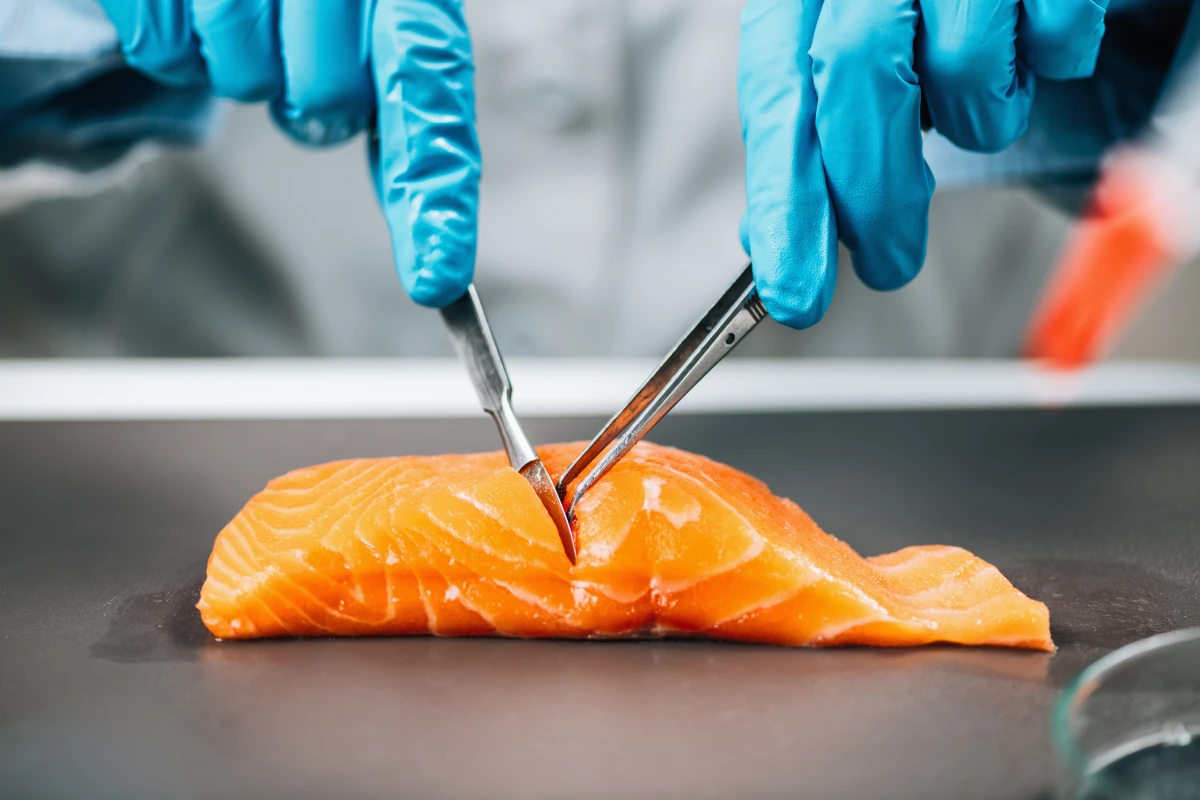 Les normes de sécurité alimentaire dans les franchises de restauration rapide à domicile : un enjeu majeur
