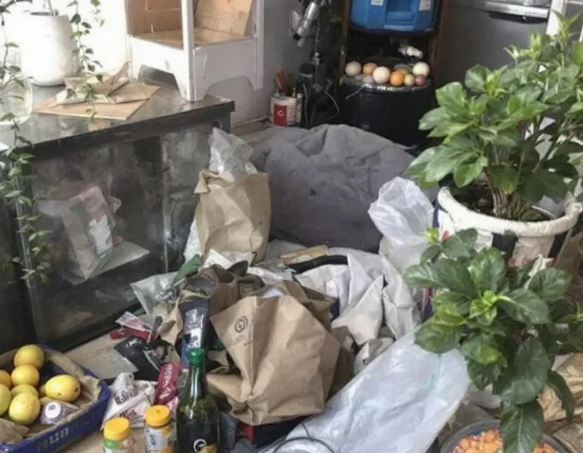 Débarras d'appartement : Responsabilités juridiques face aux pollutions et nuisances